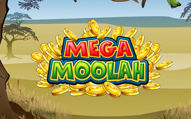 In the Mega Moolah slot game at Mostbet, incredible progressive jackpots await you.