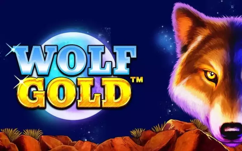 Join Mostbet Casino to play and win at Wolf Gold.